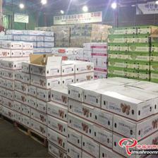 平泉市“瀑河源”榮膺全國(guó)食用菌行業(yè)優(yōu)秀品牌，樹立產(chǎn)業(yè)新標(biāo)桿