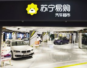 天能集團(tuán)與蘇寧達(dá)成合作 將設(shè)電動(dòng)車服務(wù)站