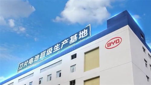 預計7月中旬上市 長城歐拉r2正式定名 歐拉白貓