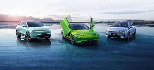 蔚小理 在爭議與贊譽交織中成長的汽車配件銷售新模式